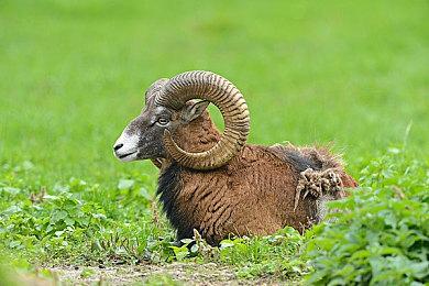 《失忆症：地堡》陷阱演示 5月16日发售