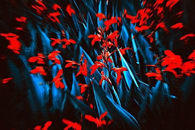 官方直播竟然崩溃！《无主之地4》优化引玩家担忧